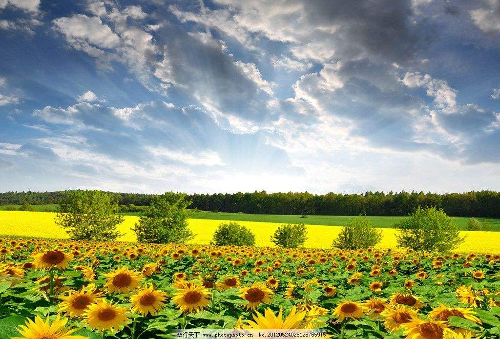 川稅協(xié)發(fā)〔2021〕33號四川省注冊稅務師協(xié)會關于印發(fā)中稅協(xié)《關于繼續(xù)認定上海德勤等37家稅務師事務所為AAAAA級事務所、江蘇方正等34家稅務師事務所為AAAA級事務所的公告》的通知